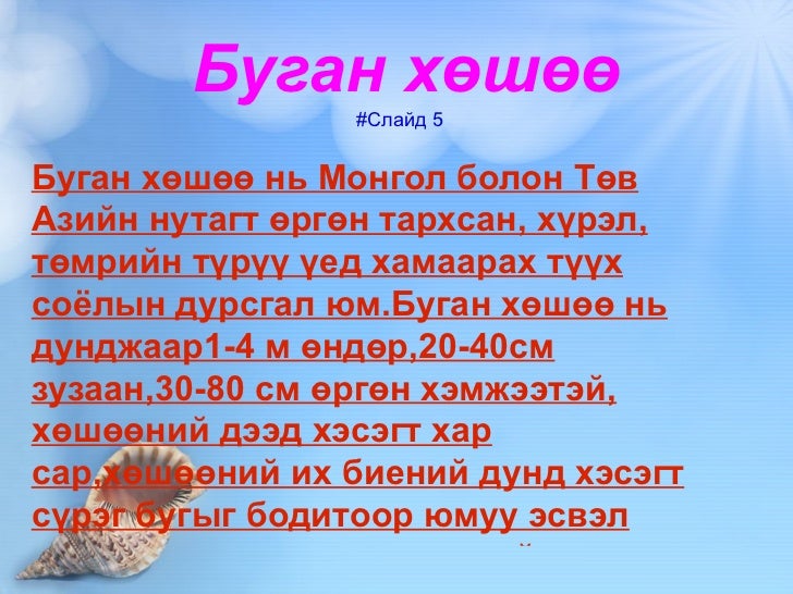 түүх 8