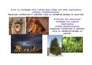 3.Нэг нь нөгөөдөө хоол тэжээл,орон байр олж өгөх харилцааны
                     хэлбэр./ Комменсализм/
Харилцан холбоотой 2 зүйлийн нэгд нь нөлөөгүй,нөгөөд нь ашигтай.

                                      4.Нэгний үйл ажиллагаа
                                        нөгөөдөө хор үзүүлэх
                                             харилцааны
                                       хэлбэр./Амменсализм/
                                   Харилцан холбоотой 2 зүйлийн
                                     нэгд нь нөлөөгүй,нөгөөд нь
                                               хортой.
 