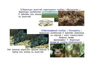 5.Харилцан ашигтай харилцааны хэлбэр./ Мутуализм /
         Харилцан холбоотой
         2 зүйлийн аль алинд
         нь ашигтай.




                            6.Өрсөлдөөний хэлбэр / Конкуренц /
                          Харилцан холбоотой 2 зүйлийн хоёуланд
                                    нь хортой / хоол тэжээл,орон
                                           байрны төлөө
                                       өрсөлдөөн/ 7. Харилцан
                                   нөлөөгүй хэлбэр./Нейтрализм /


Нэг орчинд зэрэгцэн оршиж байгаа 2
    зүйлд аль алинд нь ашигтай.
 