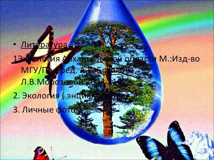 Проект на тему экология 8 класс Проект по обж экология