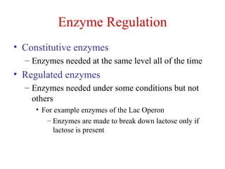 Enzyme Regulation Constitutive enzymes Enzymes needed at the same level all of the time  Regulated enzymes Enzymes needed under some conditions but not others For example enzymes of the Lac Operon Enzymes are made to break down lactose only if lactose is present 