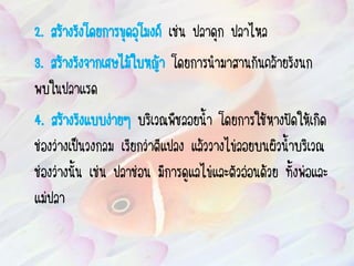 2. สร้างรังโดยการขุดอุโมงค์ เช่น ปลาดุก ปลาไหล
3. สร้างรังจากเศษไม้ใบหญ้า โดยการน้ามาสานกันคล้ายรังนก
พบในปลาแรด
4. สร้างรังแบบง่ายๆ บริเวณพืชลอยน้า โดยการใช้หางปัดให้เกิด
ช่องว่างเป็นวงกลม เรียกว่าตีแปลง แล้ววางไข่ลอยบนผิวน้าบริเวณ
ช่องว่างนัน เช่น ปลาช่อน มีการดูแลไข่และตัวอ่อนด้วย ทังพ่อและ
แม่ปลา
 