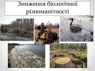 Зниження біологічної
  різноманітності
 
