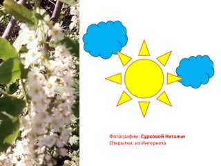 Фотографии: Сурковой Натальи
Открытки: из Интернета
 