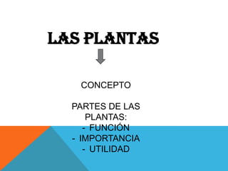 LAS PLANTAS
CONCEPTO
PARTES DE LAS
PLANTAS:
- FUNCIÓN
- IMPORTANCIA
- UTILIDAD
 