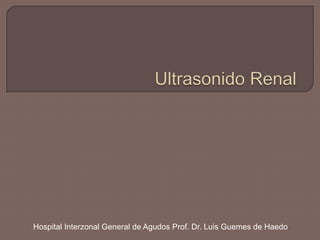 Hospital Interzonal General de Agudos Prof. Dr. Luis Guemes de Haedo
 