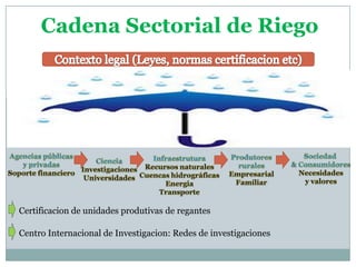 Cadena Sectorial de Riego

Certificacion de unidades produtivas de regantes

Centro Internacional de Investigacion: Redes de investigaciones

 
