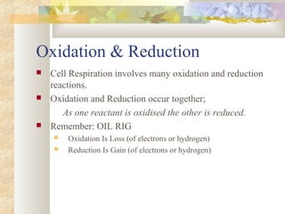 8.1 cell respiration