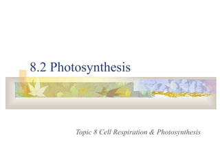 8.2 Photosynthesis
Topic 8 Cell Respiration & Photosynthesis
 