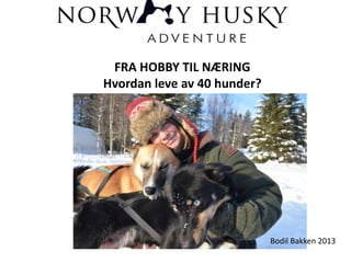 FRA HOBBY TIL NÆRING
Hvordan leve av 40 hunder?
Bodil Bakken 2013
 