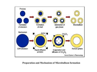 Preparation and Mechanism of Microballoon formation

 