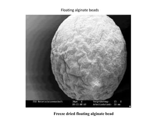 Floating alginate beads

Freeze dried floating alginate bead

 