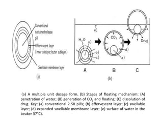 (a) A multiple unit dosage form. (b) Stages of floating mechanism: (A)
penetration of water; (B) generation of CO2 and floating; (C) dissolution of
drug. Key: (a) conventional 2 SR pills; (b) effervescent layer; (c) swellable
layer; (d) expanded swellable membrane layer; (e) surface of water in the
beaker 37°C).

 