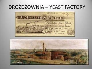 DROŻDŻOWNIA – YEAST FACTORY

 
