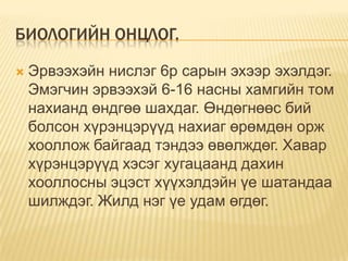 БИОЛОГИЙН ОНЦЛОГ.


Эрвээхэйн нислэг 6р сарын эхээр эхэлдэг.
Эмэгчин эрвээхэй 6-16 насны хамгийн том
нахианд өндгөө шахдаг. Өндөгнөөс бий
болсон хүрэнцэрүүд нахиаг өрөмдөн орж
хооллож байгаад тэндээ өвөлждөг. Хавар
хүрэнцэрүүд хэсэг хугацаанд дахин
хооллосны эцэст хүүхэлдэйн үе шатандаа
шилждэг. Жилд нэг үе удам өгдөг.

 