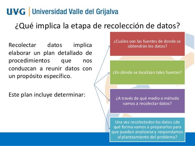 Etapa Que Consiste En La Recoleccion Sistematica De