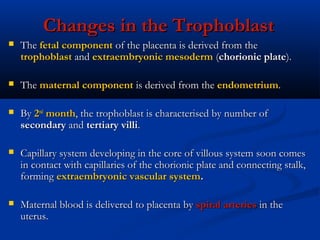 Changes in the Trophoblast


The fetal component of the placenta is derived from the
trophoblast and extraembryonic mesod...