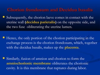 Circulation of the Placenta










Cotyledons receive blood through 80 to 100 spiral arteries
and enter the interv...