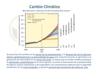 Cambio Climático

Se prevé que los cambios en las pautas de las precipitaciones y la desaparición de los glaciares
afecten significativamente a la disponibilidad de agua para consumo humano, la agricultura y la
generación de electricidad. En las zonas más secas, se espera que el cambio climático provoque
la salinización y desertificación de la tierra agrícola. Se prevé la disminución de la productividad
de algunos cultivos importantes y de la ganadería, con consecuencias adversas para la seguridad
alimentaria. En las zonas templadas, se prevé el aumento del rendimiento del cultivo de soja.

 