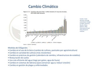 Cambio Climático
Fuente: Food
Security, Farming,
and Climate Change
to 2050: Scenarios,
Results, Policy
Options. 2010
International Food
Policy Research
Institute

Medidas de mitigación:
• Cambio en el uso de la tierra (cambio de cultivos, pastizales por agrosilvicultura)
• Cambio en variedad de cultivos (más resistentes)
• Cambio en prácticas de gestión (calendario de siembra, infraestructura de establos)
• Restauración de suelos
• Uso más eficiente del agua (riego por goteo, agua de lluvia)
• Cambio en sistemas de labranza (para conservar agua y reducir erosión)
• Cambio en gestión de plagas y enfermedades

 