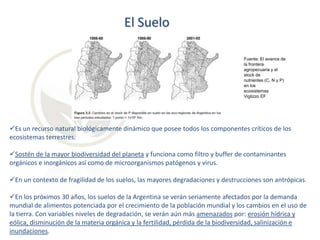 El Suelo
Fuente: El avance de
la frontera
agropecuaria y el
stock de
nutrientes (C, N y P)
en los
ecosistemas
Viglizzo EF

Es un recurso natural biológicamente dinámico que posee todos los componentes críticos de los
ecosistemas terrestres.
Sostén de la mayor biodiversidad del planeta y funciona como filtro y buffer de contaminantes
orgánicos e inorgánicos así como de microorganismos patógenos y virus.
En un contexto de fragilidad de los suelos, las mayores degradaciones y destrucciones son antrópicas.
En los próximos 30 años, los suelos de la Argentina se verán seriamente afectados por la demanda
mundial de alimentos potenciada por el crecimiento de la población mundial y los cambios en el uso de
la tierra. Con variables niveles de degradación, se verán aún más amenazados por: erosión hídrica y
eólica, disminución de la materia orgánica y la fertilidad, pérdida de la biodiversidad, salinización e
inundaciones.

 