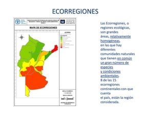 ECORREGIONES
Las Ecorregiones, o
regiones ecológicas,
son grandes
áreas, relativamente
homogéneas,
en las que hay
diferentes
comunidades naturales
que tienen en común
un gran número de
especies
y condiciones
ambientales.
8 de las 15
ecorregiones
continentales con que
cuenta
el país, están la región
considerada.

 