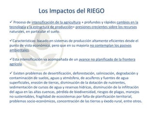 Los Impactos del RIEGO
 Proceso de intensificación de la agricultura + profundos y rápidos cambios en la
tecnología y la estructura de producción= presiones crecientes sobre los recursos
naturales, en particular el suelo.
Características: basado en sistemas de producción altamente eficientes desde el
punto de vista económico, pero que en su mayoría no contemplan los pasivos
ambientales.
Esta intensificación va acompañada de un avance no planificado de la frontera
agrícola.

 Existen problemas de desertificación, deforestación, salinización, degradación y
contaminación de suelos, aguas y atmósfera, de acuíferos y fuentes de agua
superficiales, erosión de tierras, disminución de la dotación de nutrientes,
sedimentación de cursos de agua y reservas hídricas, disminución de la infiltración
del agua en las altas cuencas, pérdida de biodiversidad, riesgos de plagas, manejos
no sustentables, fragilidad de ecosistemas por falta de planificación territorial,
problemas socio-económicos, concentración de las tierras y éxodo rural, entre otros.

 