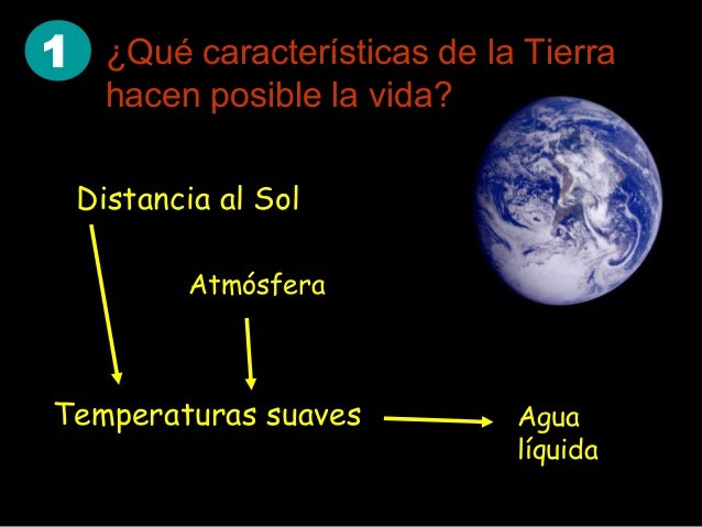8. La vida en la Tierra