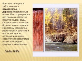 Большую площадь в
тайге занимают
подзолистые и
дерново-подзолистые
почвы. Они формируются
под лесами в областях
избытка жидкой воды.
Осадков здесь выпадает
больше, чем испаряется.
При малом количестве
растительных остатков и
при интенсивном
промывании в тайге
образуются подзолистые
почвы. Они бедны
гумусом и минералами.
ПОЧВЫ ТАЙГИ

 