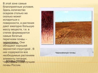 В этой зоне самые
благоприятные условия.
Здесь количество
осадков столько же
сколько может
испариться с
поверхности, а растения
дают ежегодно большую
массу веществ, т.е. в
степях формируются
самые богатые
перегноем почвы –
черноземы. Они
обладают хорошей
зернистой структурой . В
них содержатся все
необходимые растениям
элементы питания.
ПОЧВЫ СТЕПЕЙ
Чернозѐмы – это лучшие
почвы России.

 