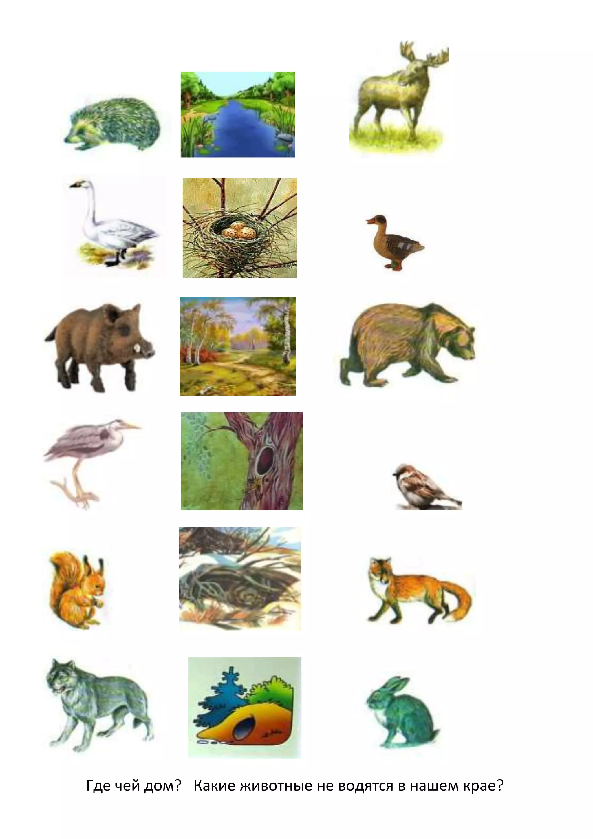 Где чей дом? Какие животные не водятся в нашем крае?

 