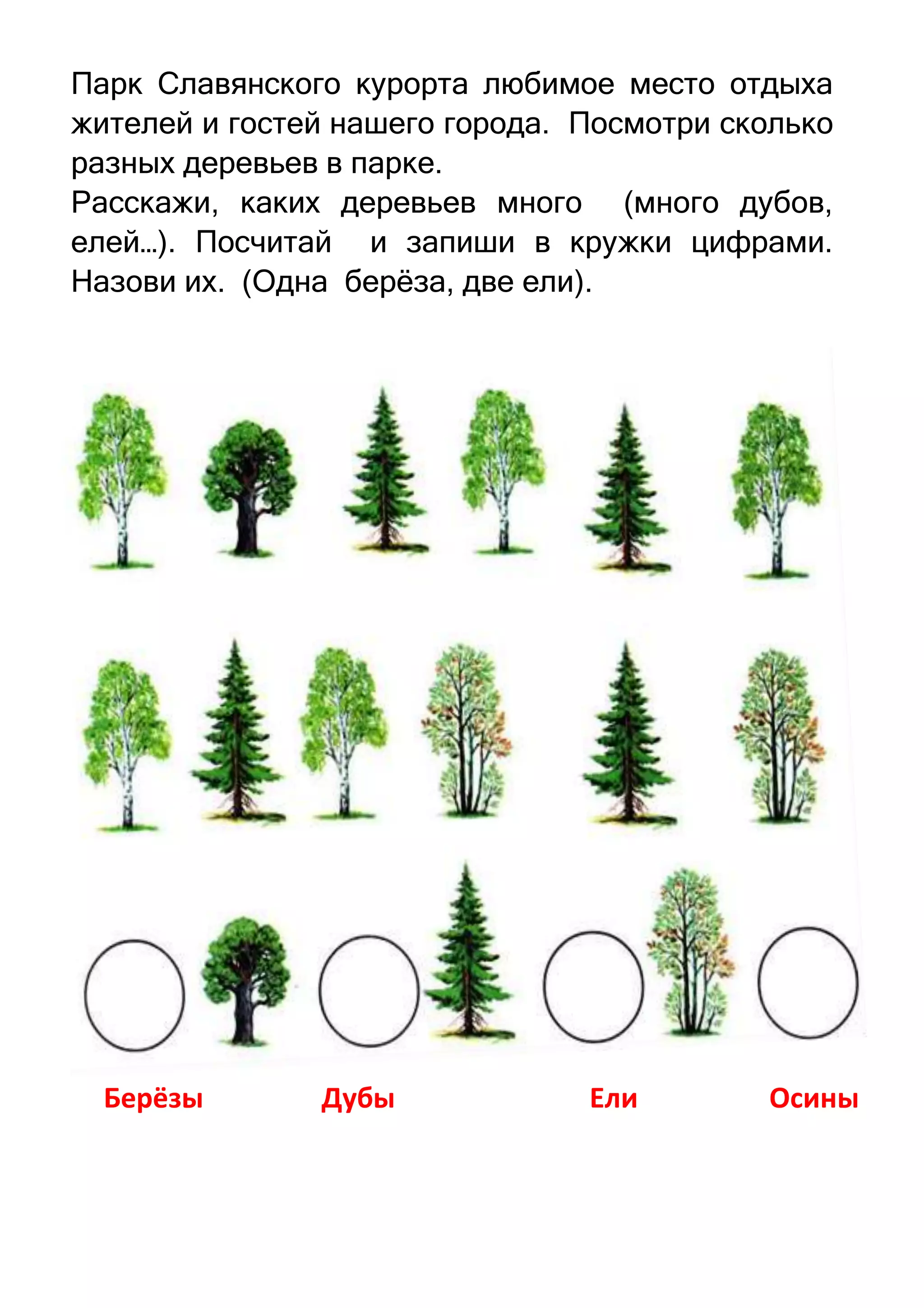 Парк Славянского курорта любимое место отдыха
жителей и гостей нашего города. Посмотри сколько
разных деревьев в парке.
Расскажи, каких деревьев много (много дубов,
елей…). Посчитай и запиши в кружки цифрами.
Назови их. (Одна берѐза, две ели).

Берёзы

Дубы

Ели

Осины

 
