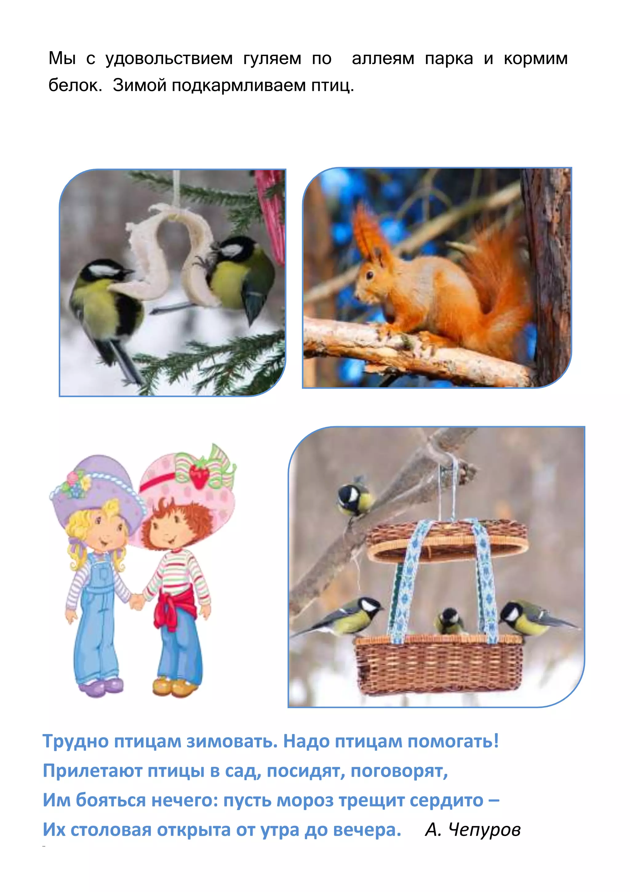 Мы с удовольствием гуляем по аллеям парка и кормим
белок. Зимой подкармливаем птиц.

Трудно птицам зимовать. Надо птицам помогать!
Прилетают птицы в сад, посидят, поговорят,
Им бояться нечего: пусть мороз трещит сердито –
Их столовая открыта от утра до вечера. А. Чепуров
вввв

 