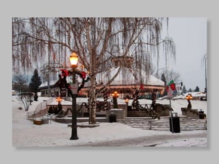 Печа Куча 3. Алматы. Георгий Копилашвили. 8 точка один штат Америки