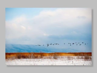 Печа Куча 3. Алматы. Георгий Копилашвили. 8 точка один штат Америки