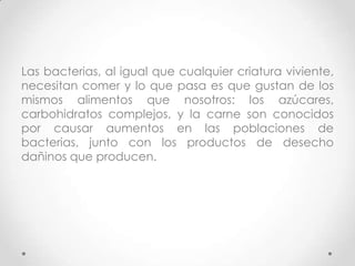 Las bacterias, al igual que cualquier criatura viviente,
necesitan comer y lo que pasa es que gustan de los
mismos alimentos que nosotros: los azúcares,
carbohidratos complejos, y la carne son conocidos
por causar aumentos en las poblaciones de
bacterias, junto con los productos de desecho
dañinos que producen.

 