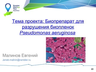 Тема проекта: Биопрепарат для
разрушения биопленок
Pseudomonas aeruginosa

Малинов Евгений
Jenek-malinin@rambler.ru

01

 
