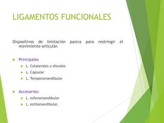 LIGAMENTOS FUNCIONALES
Dispositivos de limitación pasiva para restringir el
movimiento articular.
 Principales
 L. Colaterales o discales
 L. Capsular
 L. Temporomandibular
 Accesorios:
 L. esfenomandibular
 L. estilomandibular.
 