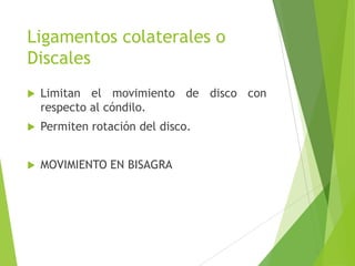 Ligamentos colaterales o
Discales
 Limitan el movimiento de disco con
respecto al cóndilo.
 Permiten rotación del disco.
 MOVIMIENTO EN BISAGRA
 