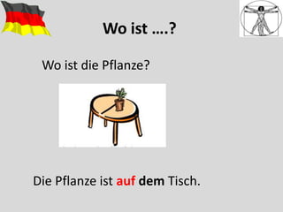 Wo ist ….?
Wo ist die Pflanze?
Die Pflanze ist auf dem Tisch.
 