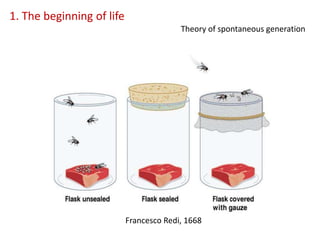 1. The beginning of life
Francesco Redi, 1668
Theory of spontaneous generation
 
