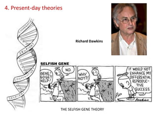 4. Present-day theories
THE SELFISH GENE THEORY
Richard Dawkins
 