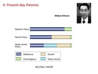 4. Present-day theories
NEUTRAL THEORY
Motoo Kimura
 