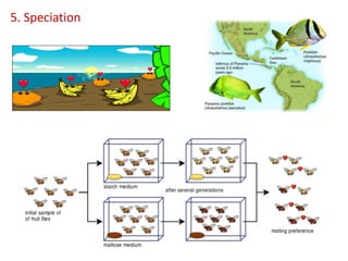 5. Speciation
 
