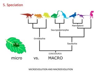 5. Speciation
MICROEVOLUTION AND MACROEVOLUTION
 