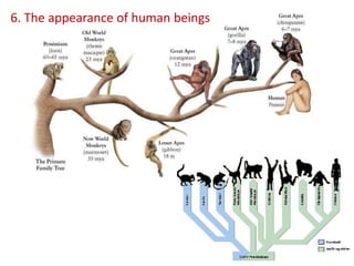 6. The appearance of human beings
 