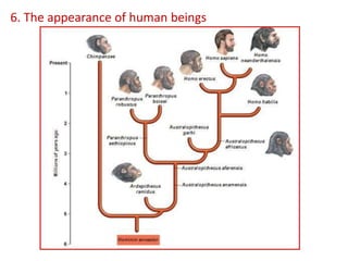 6. The appearance of human beings
 