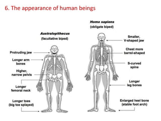 6. The appearance of human beings
 