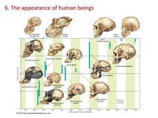 6. The appearance of human beings
 