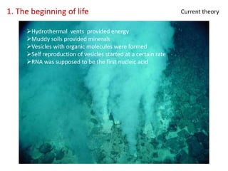 1. The beginning of life
Hydrothermal vents provided energy
Muddy soils provided minerals
Vesicles with organic molecules were formed
Self reproduction of vesicles started at a certain rate
RNA was supposed to be the first nucleic acid
Current theory
 